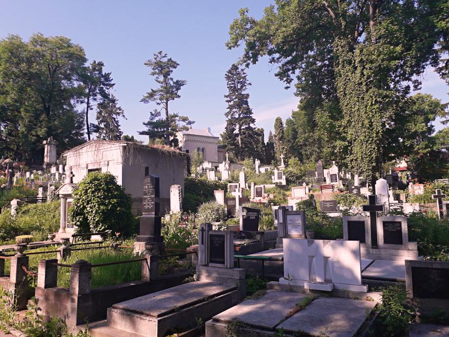 Cimitirul Central, Cluj-Napoca; Credit foto: Mira Kaliani