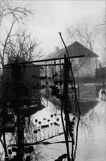 Pescărie în Delta Dunării | Fotografie: Iosif Berman; Arhivă: Muzeul Țăranului Român