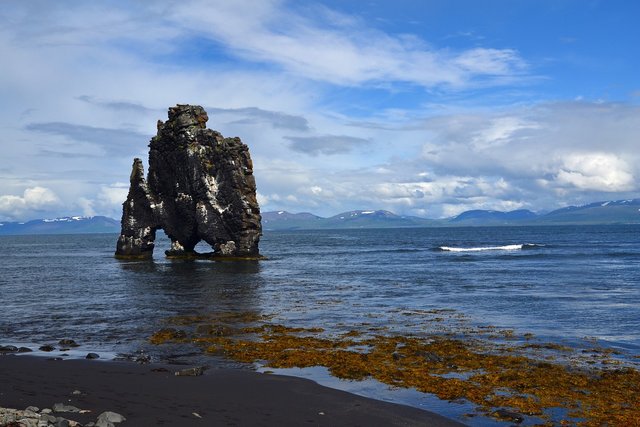 Hvítserkur, Islanda | Credit: Alexandra, Sursa: Pixabay