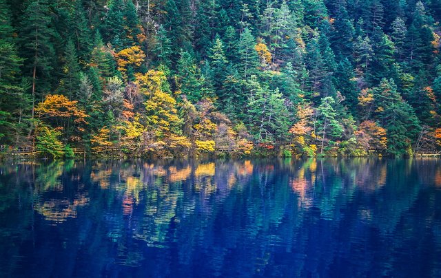 Valea Jiuzhaigou, China | Credit: Veronica, Sursa: Pixabay