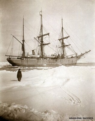Belgica privita de un pinguin imperial | Arhiva: Emil Racoviță, Sursa: emil-racovita.speosub