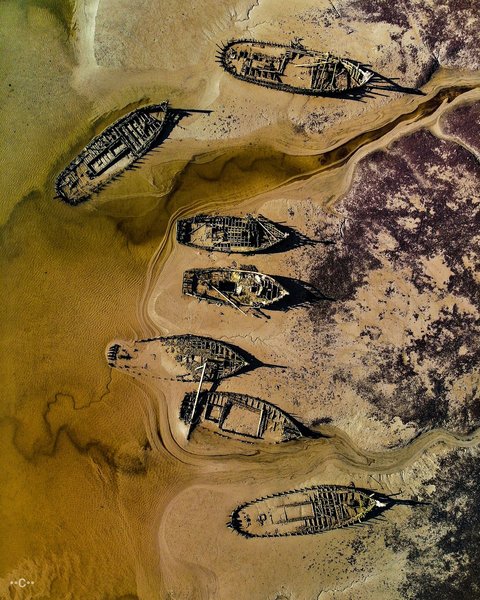 „Natura întotdeauna câștigă” , fotografie de Charlie Berthaume / AGORA Images