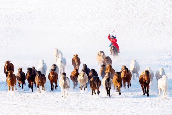 „Călărețul zăpezilor” , fotografie de Zay Yar Lin / AGORA Images
