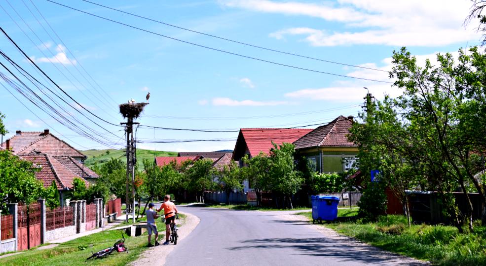 Berze în Sic, Cluj / Foto: Mira Kaliani