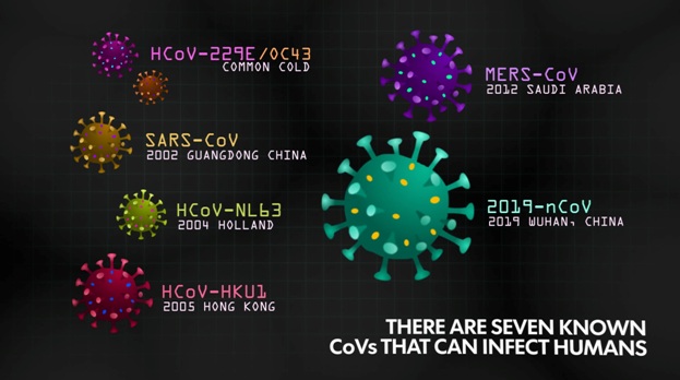 Cele șapte tipuri de coronaviruși